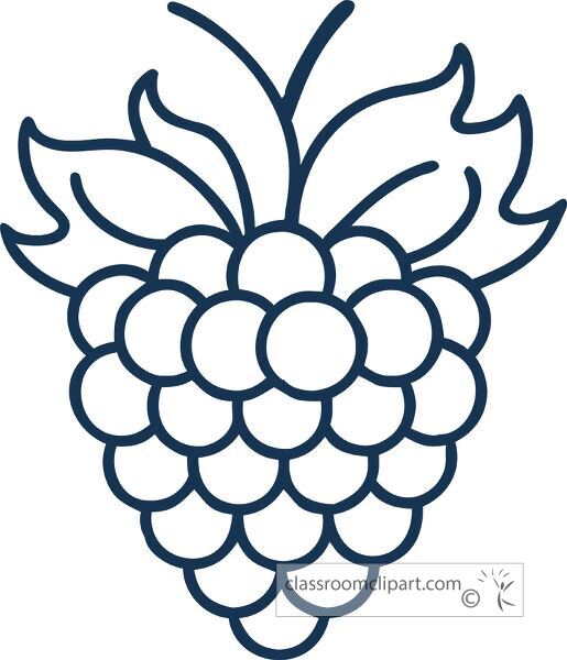 line icon of a raspberry plant