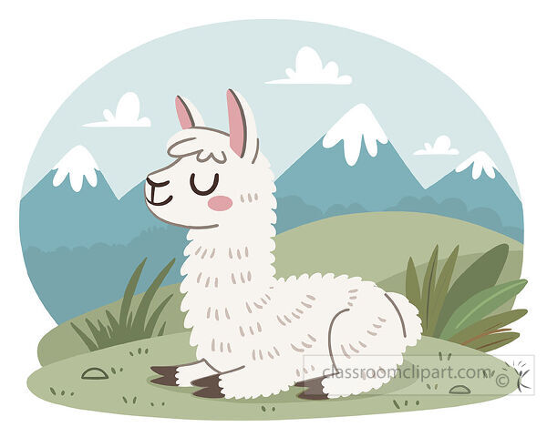 White llama resting on grass with snow topped mountains clouds and hills in the background