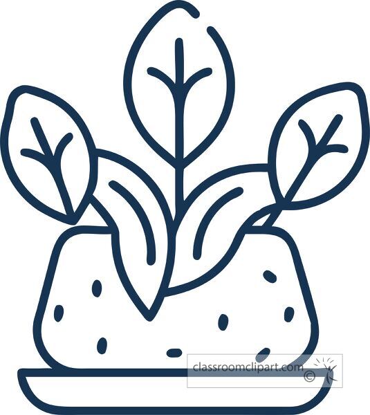 line art of a rubber plant in a planter