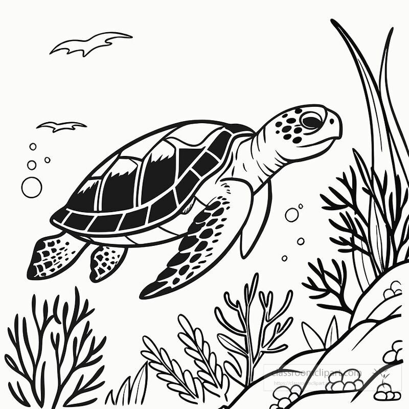 A black and white line drawing shows a sea turtle gracefully swimming through water surrounded by coral reefs and some small fish capturing a serene underwater atmosphere