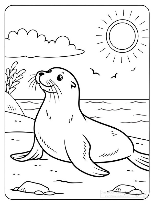 illustration features a seal near the sea with sky and birds for coloring activities