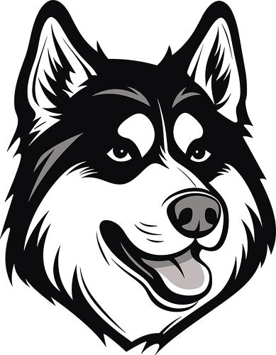 Siberian Husky features a distinct black outline emphasizing its breed