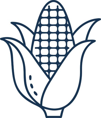 Minimalist corn outline depicted in a simple line art style