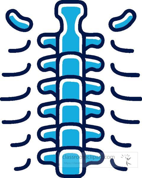 Stylized representation of a spine icon using blue lines and shapes