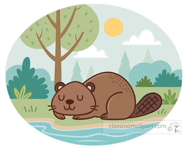 Sleeping brown beaver beside a river with trees bushes sun and soft woodland scenery