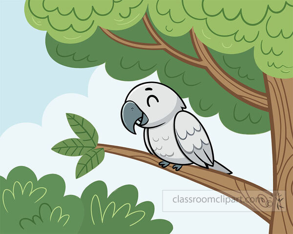 Gray parrot sleeping on a tree branch with green leaves and bushes behind it