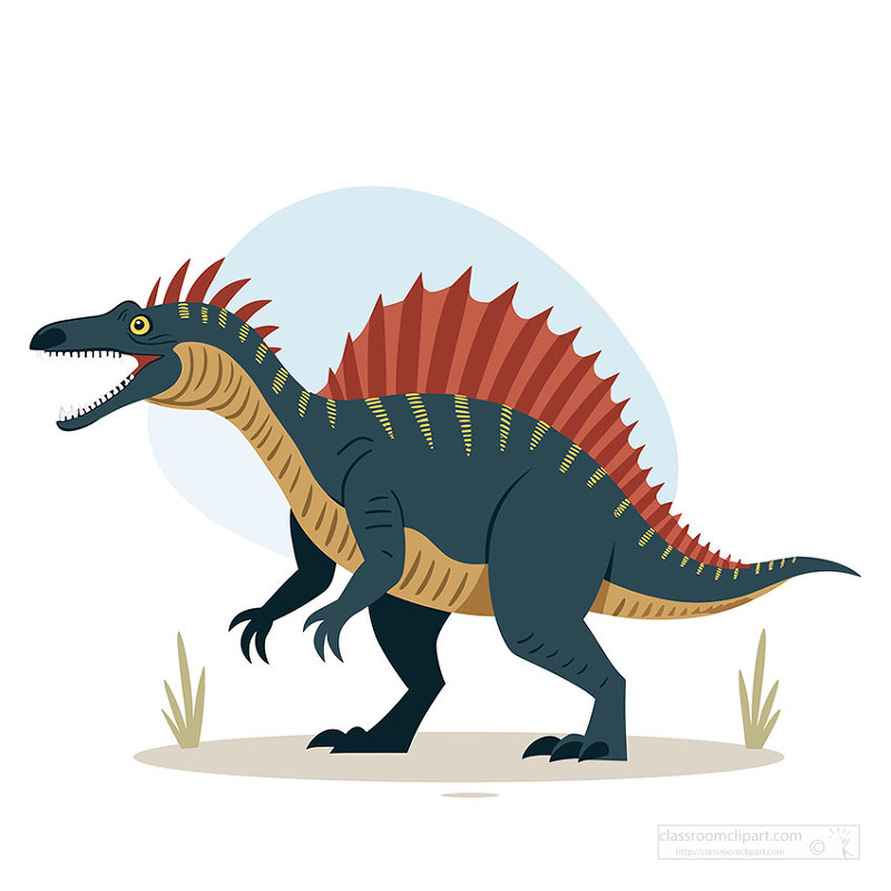 Large spinosaurus dinosaur with sharp teeth tall sail on back and powerful claws