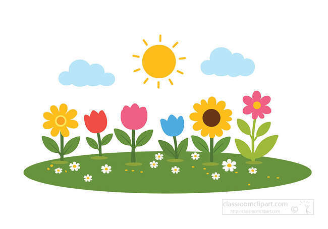 Colorful flower garden on green grass with a bright sun two blue clouds and small white blossoms