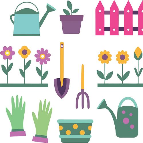 Colorful gardening tools and plants arranged for spring gardening fun