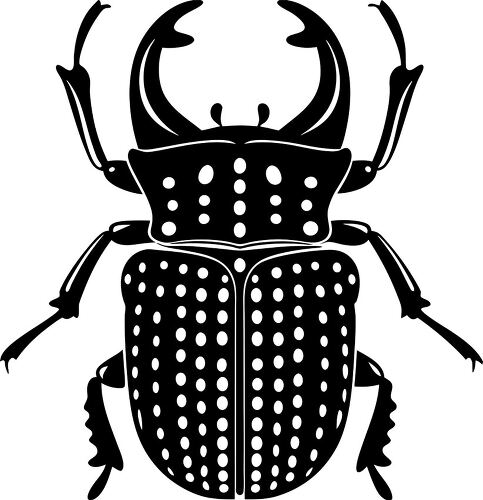 Stag beetle silhouette presented in a clear black design