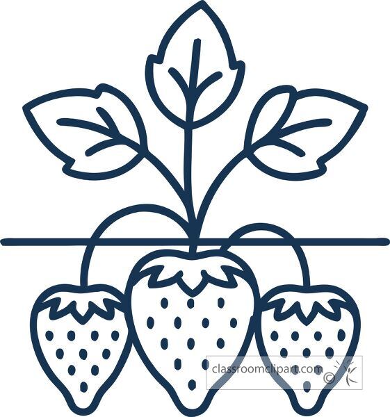 simple line drawing of a strawberry plant