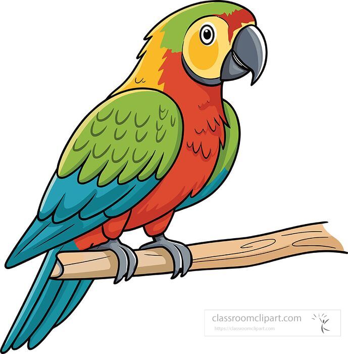 tropical parrot perched on a wooden branch with detailed feathers and bright plumage