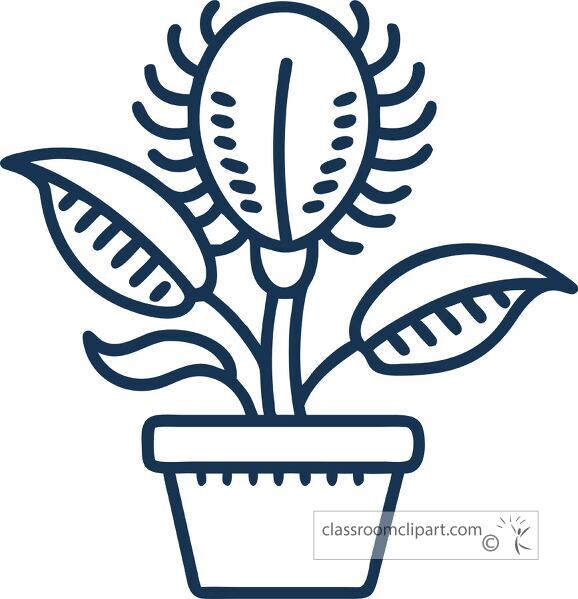 line icon representing a venus flytrap plant