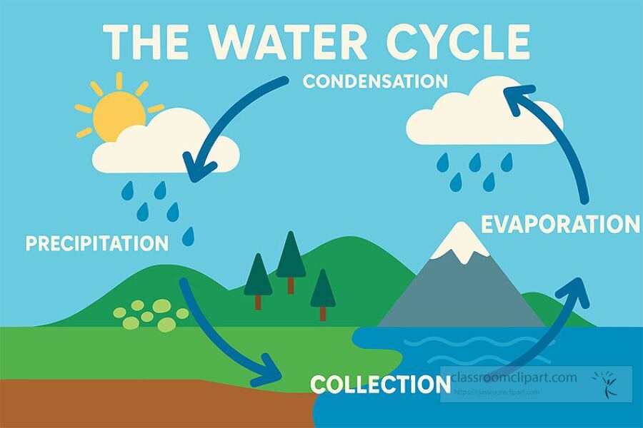 educational diagram of the water cycle showing evaporation condensation precipitation and collection