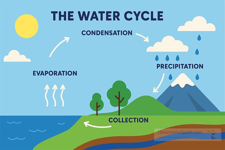 educational water cycle diagram showing evaporation condensation precipitation and collection over ocean and land