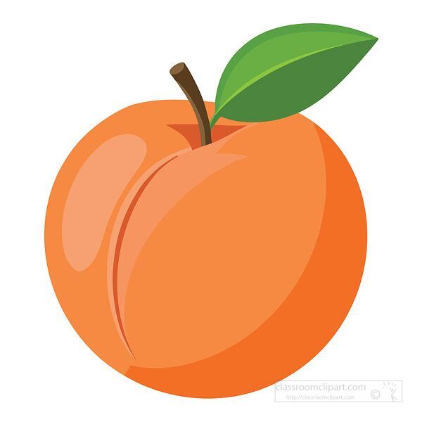 bright orange peach with a stem and green leaf drawn in a clean flat vector style