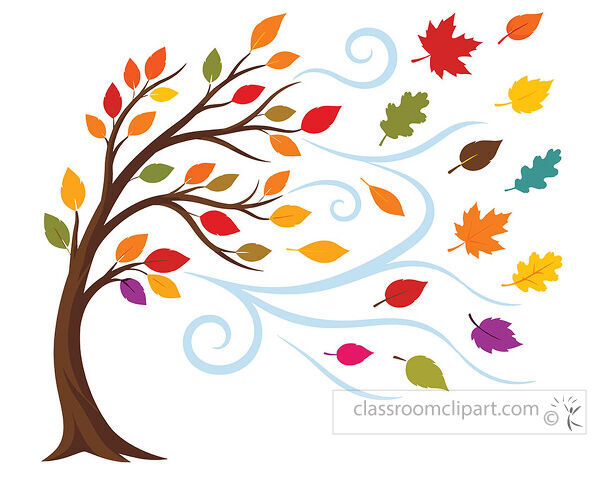 Windy fall tree with colorful leaves blowing through blue wind swirls for autumn classroom resources