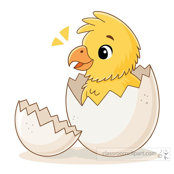 Yellow chick hatching from a cracked eggshell with the broken shell half resting beside it