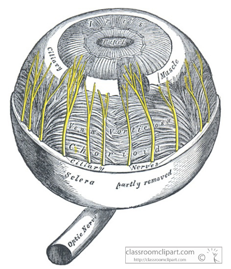 GA_1009cdM.jpg