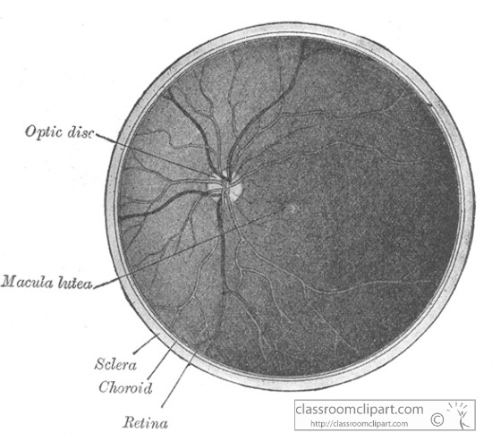 GA_1015cdM.jpg