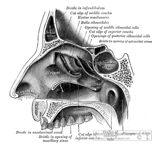 GA_994cdM.jpg