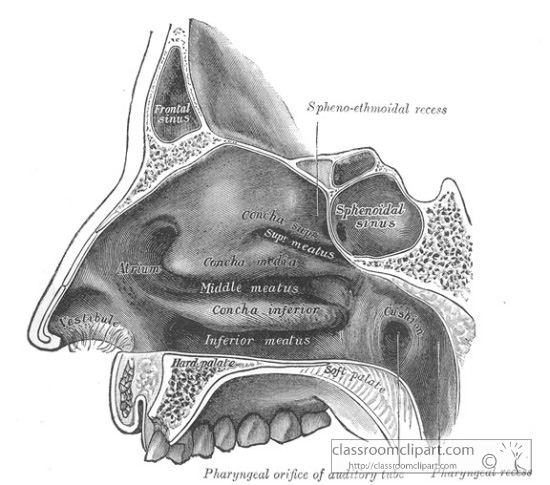 GA_994cdbM.jpg