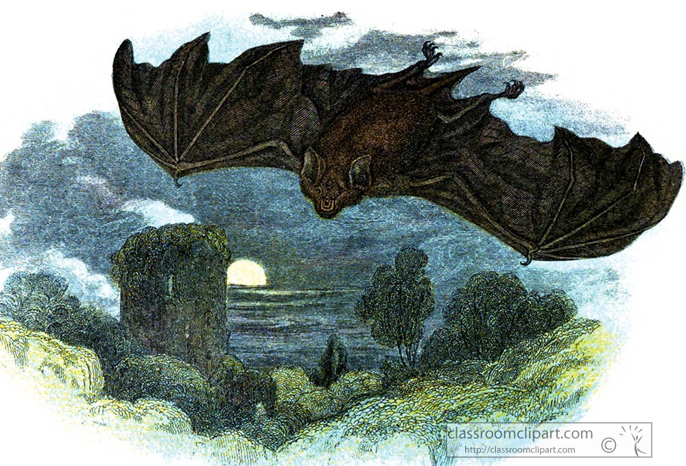 flying-greater-horseshoe-bat-color-illustration.jpg