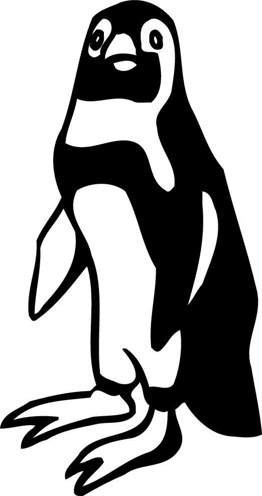 PAB0153-penguin.jpg