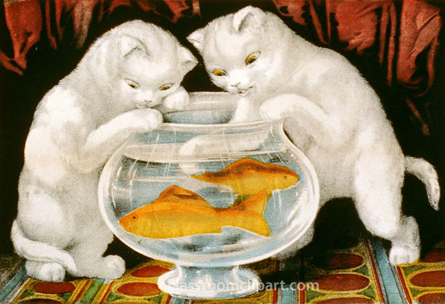cats_looking_in_bowl_fish.jpg