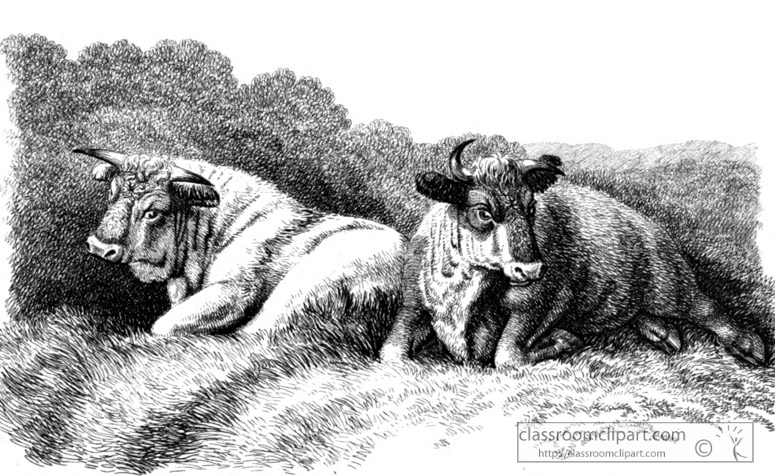 historical-engraving-Cow-sitting-on-grass-126A.jpg