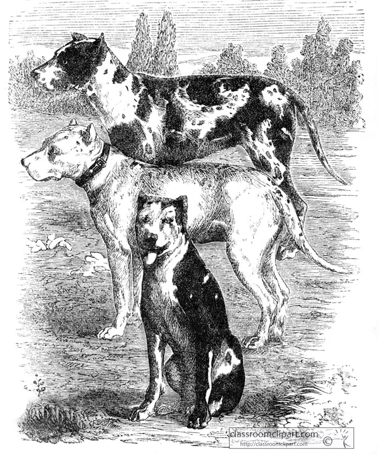 danish-dogs-illustration-ma405AA.jpg