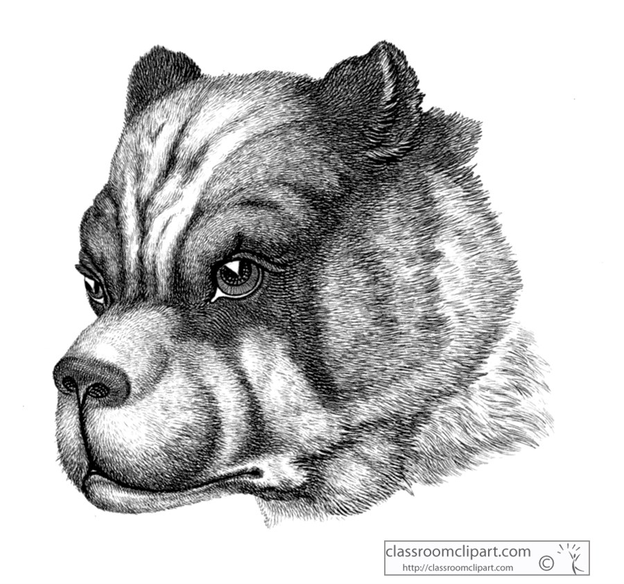 historical-engraving-bull-dog-128A.jpg