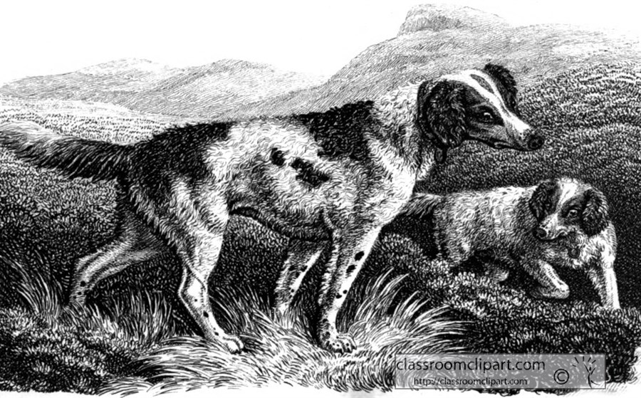 historical-engraving-hound-dogs-illustration-206A.jpg