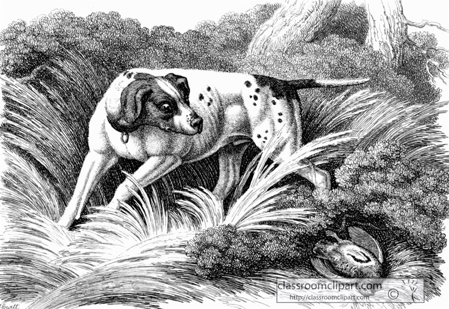 historical-engraving-hunting-dog-244.jpg