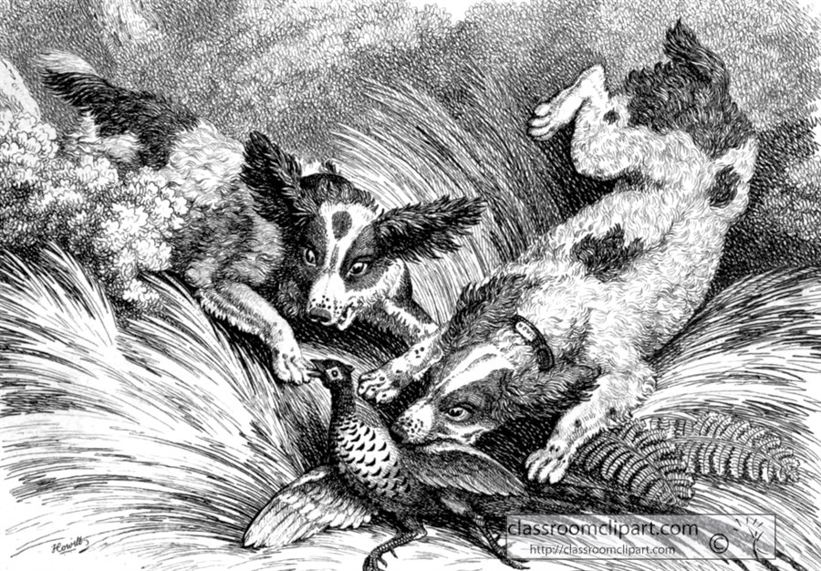 historical-engraving-hunting-dog-with-prey-230A.jpg