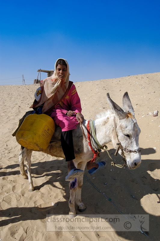 egyptian-girl-sitting-on-donkey-photo-image-1359A.jpg