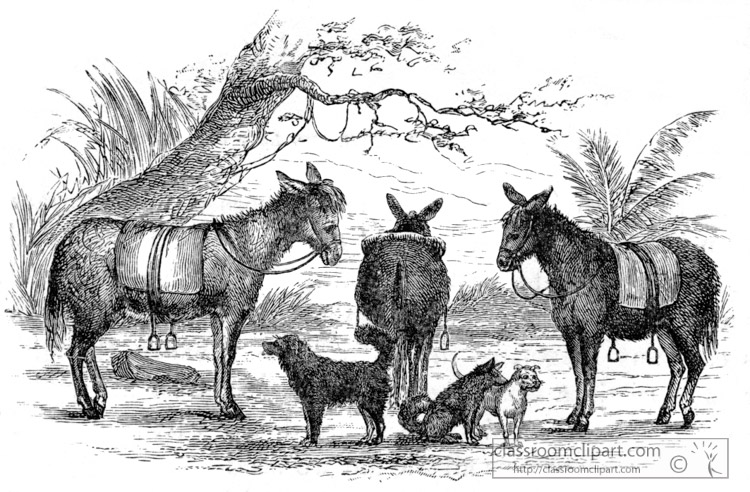 saddledonkeys-in-africa-historical-illustration-africa.jpg