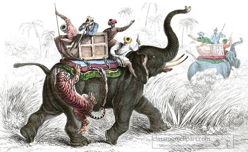 animal-illustration-indian-elephant-with-tiger.jpg