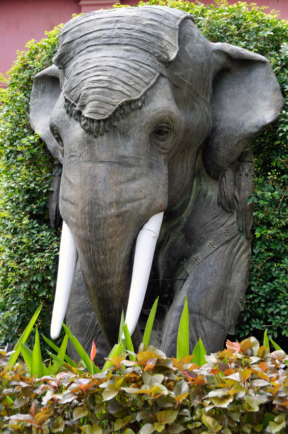 elephant-in-phnom-penh-cambodia-48.jpg