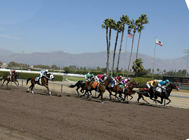 california-horse-races.jpg