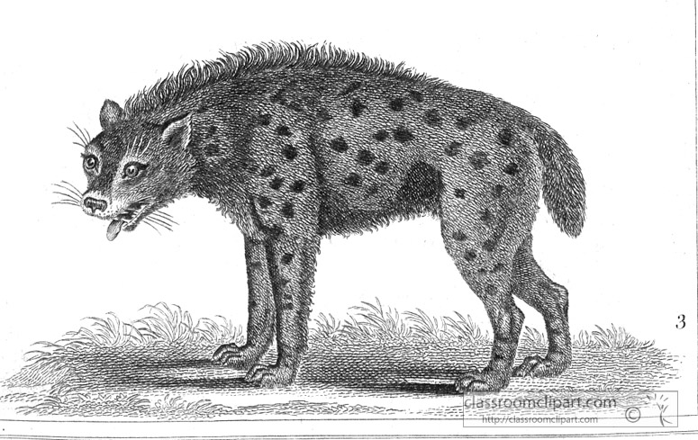 hyena-animal-illustration-gsm2122cc.jpg