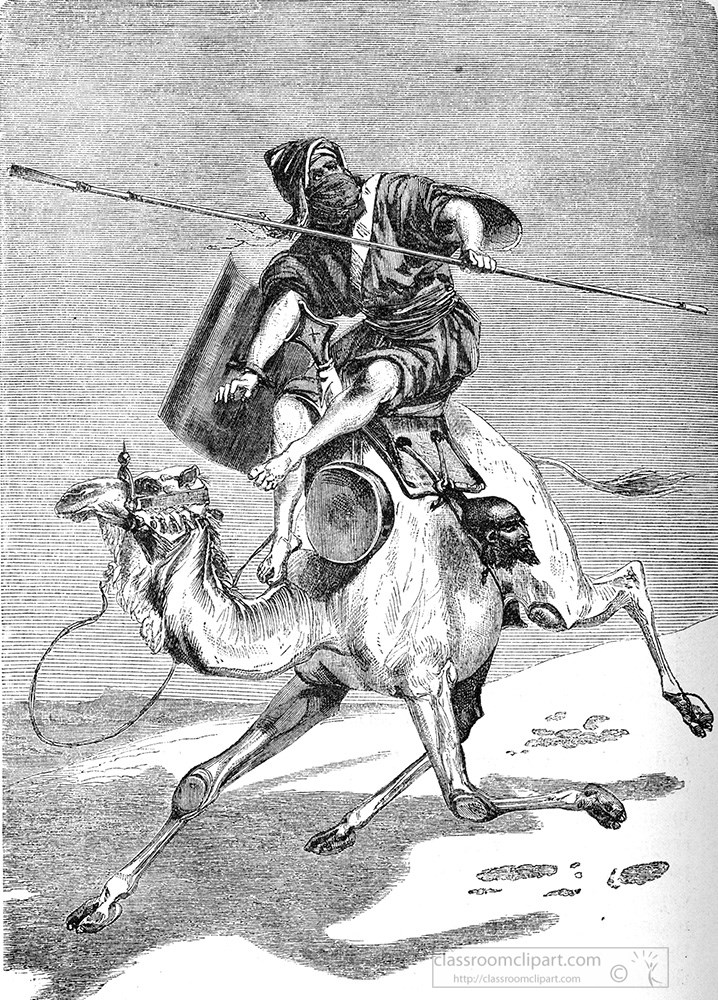 camel-illustration-234a.jpg