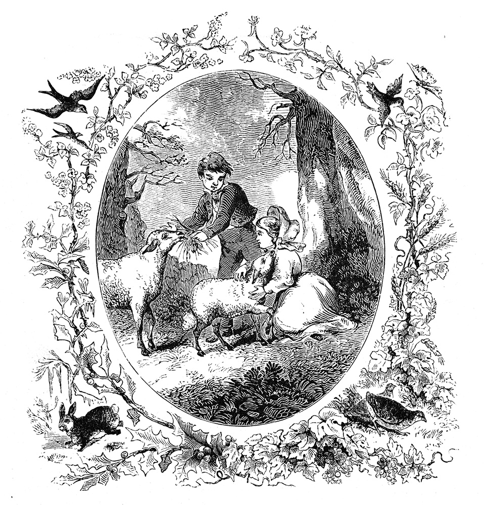 children-and-lambs-illustration-520.jpg