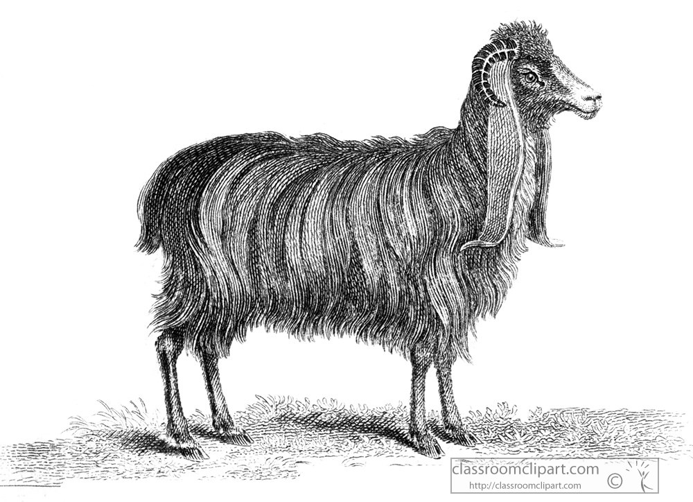 goat-animal-illustration-2001.jpg