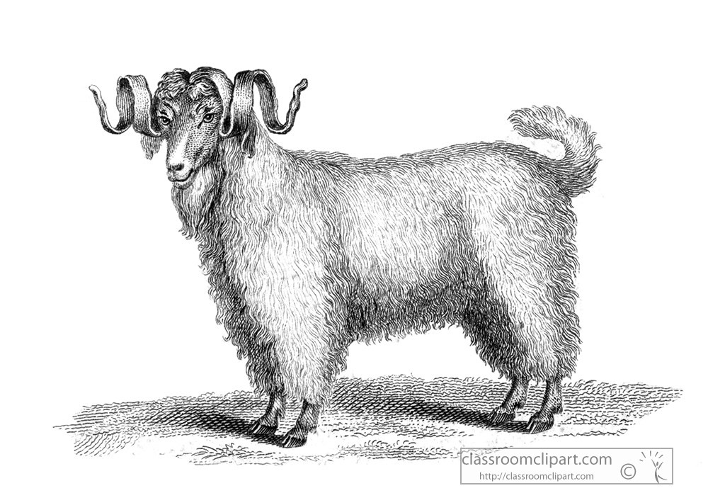 goat-animal-illustration-2003.jpg
