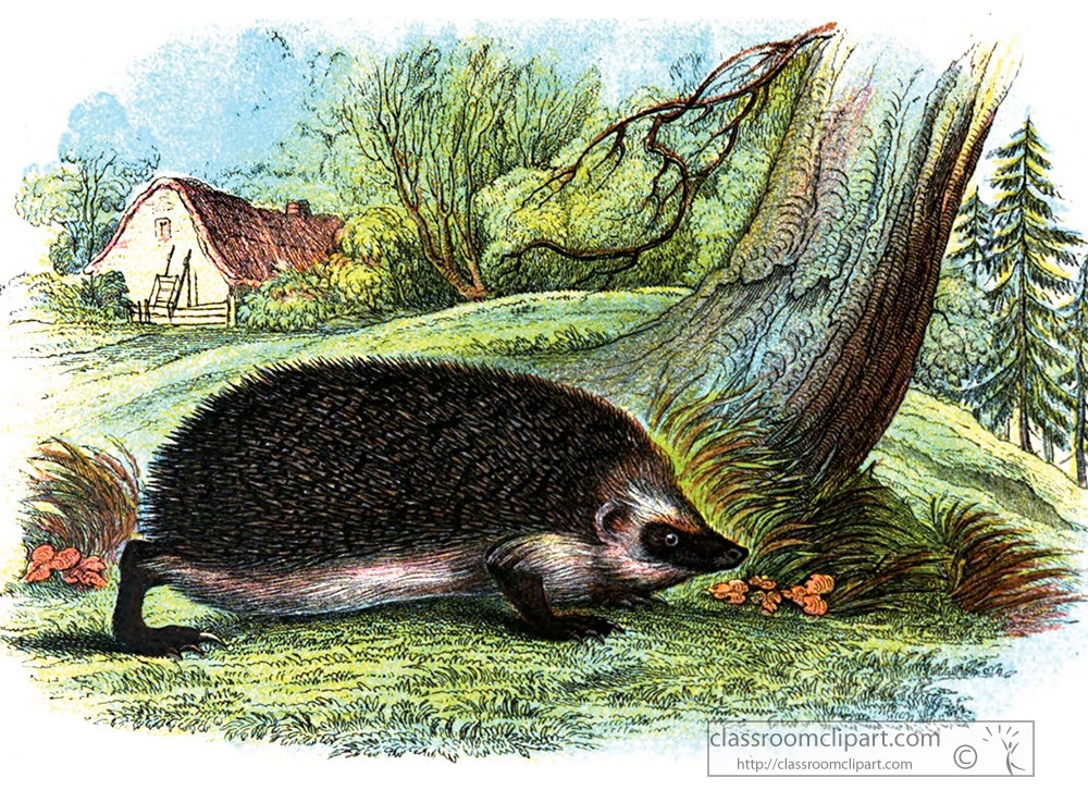 hedgehog-near-trees-and-shrubs-color-illustration.jpg