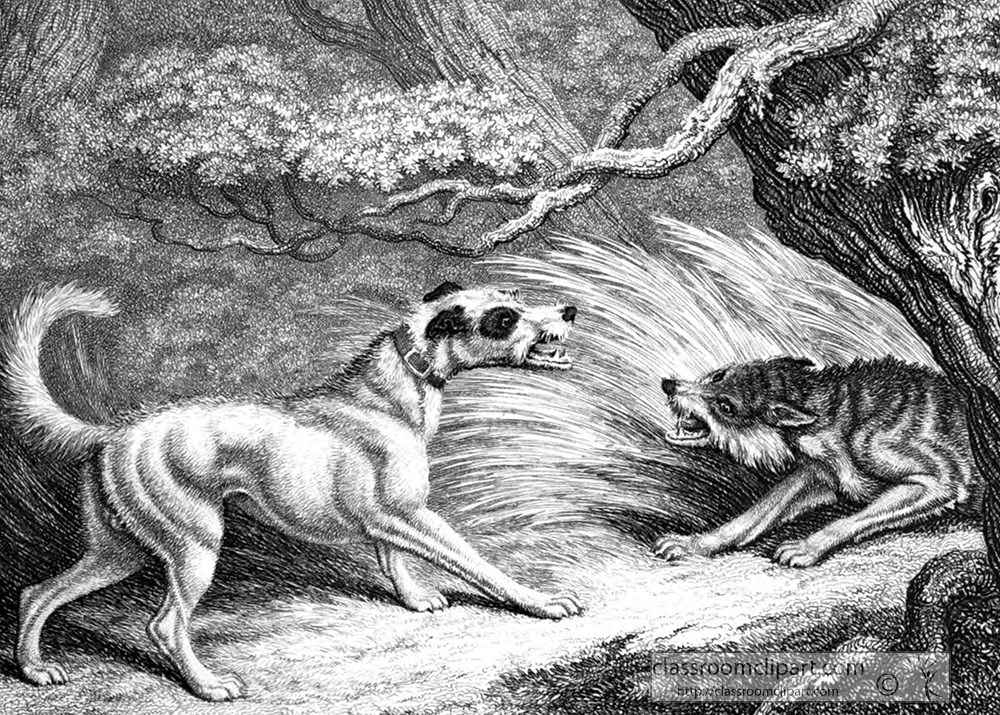 historical-engraving-animal-illustration-164a.jpg