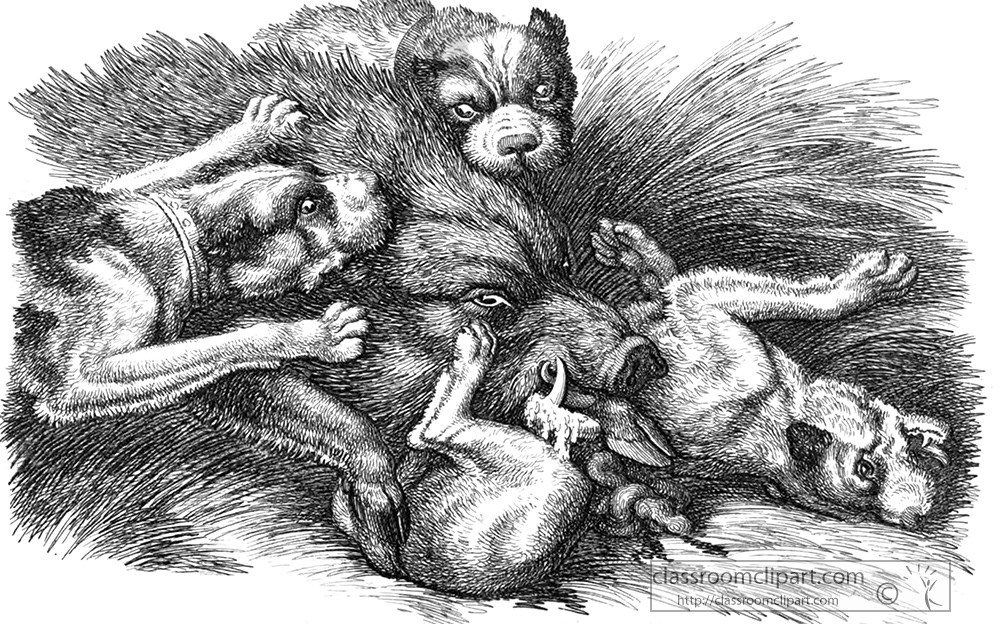 historical-engraving-animal-illustration-263za.jpg