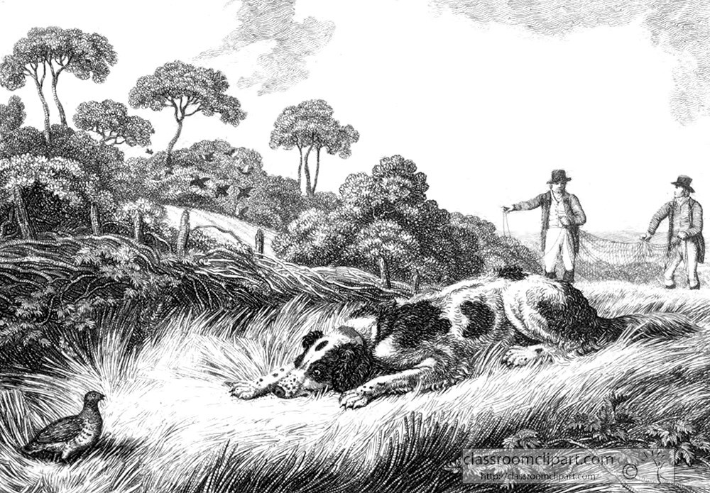 historical-engraving-animal-illustration-hunting-dog-242a.jpg
