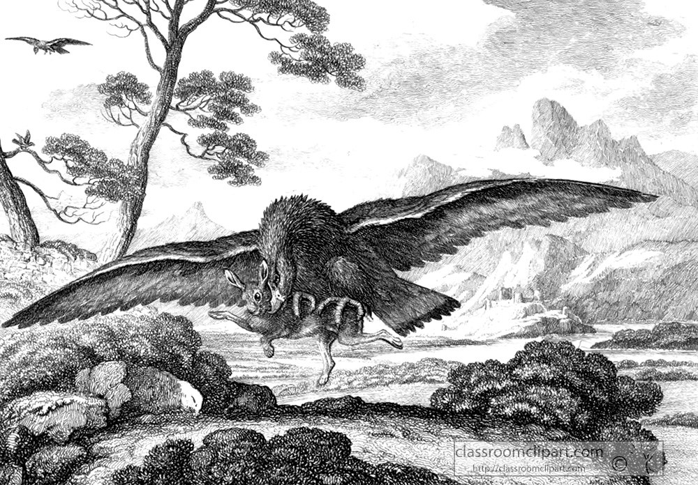historical-engraving-eagle-with-talons-on-hare-065a.jpg